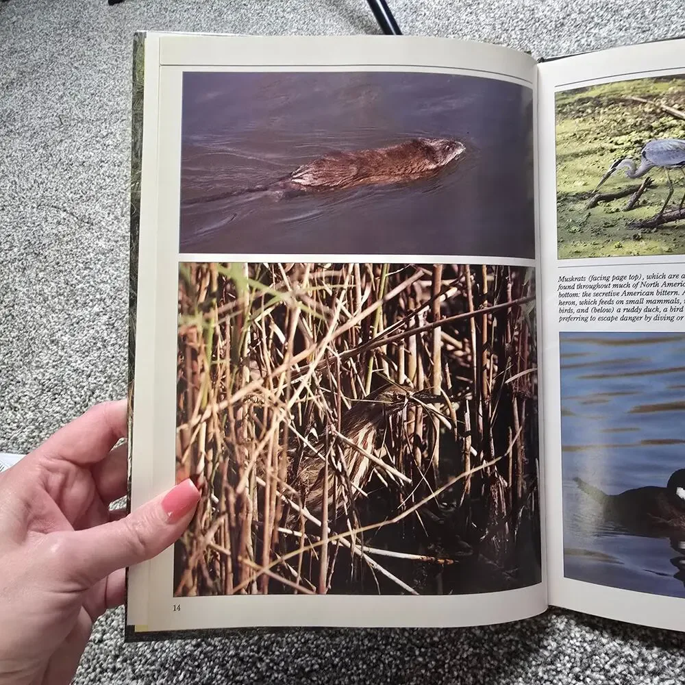 Vintage Planet Earth American Swamps Smithey